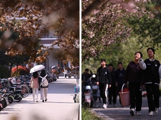 春风暖大地，生机满校园