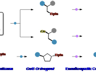 太阳成集团教育部重点实验室徐梦雨团队在《Angewandte Chemie International Edition》发表高水平研究成果