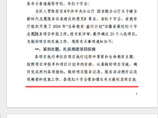 太阳成集团“小雨滴”志愿服务支教社入选2024年安徽省高校红十字志愿服务项目